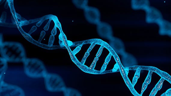 Chromosome